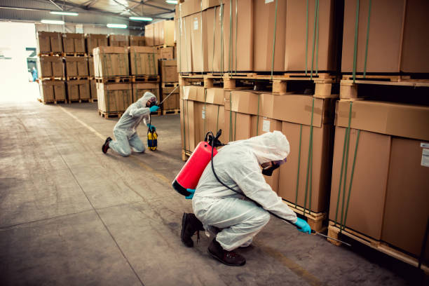 Professional Pest Control in Meeker, CO