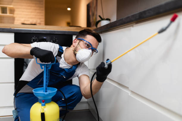 Best Cockroach Control Services  in Meeker, CO