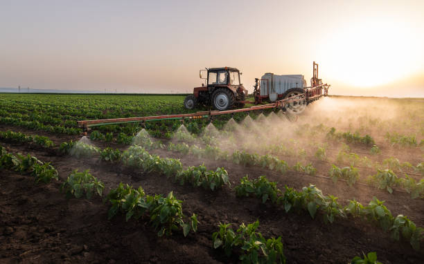 Best Best Pest Control Companies  in Meeker, CO