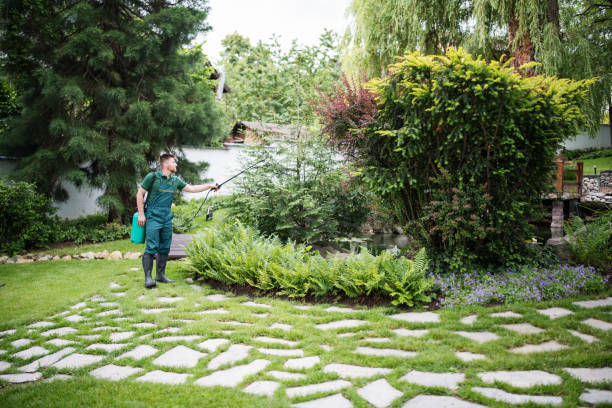 Best Exterminator Services  in Meeker, CO