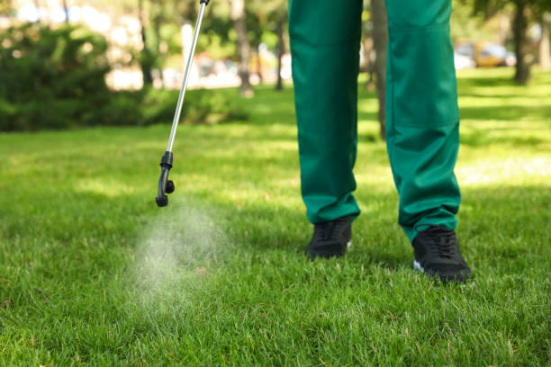 Insect Control in Meeker, CO