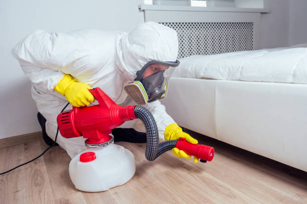 Best Best Pest Control Companies  in Meeker, CO