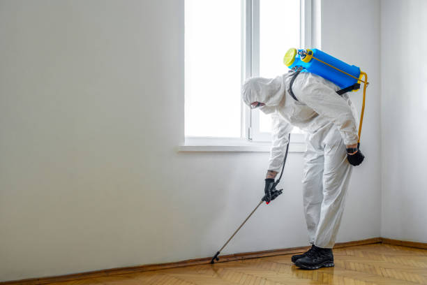 Best Emergency Pest Control  in Meeker, CO