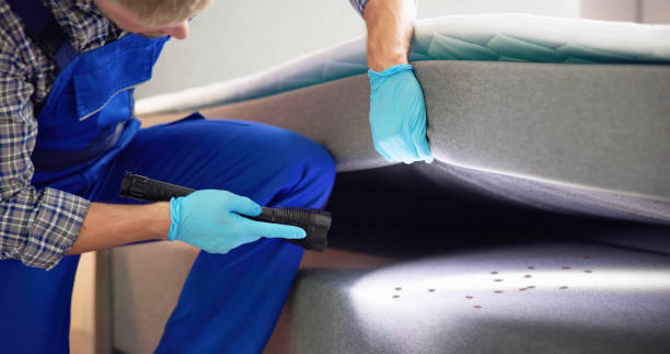 Best Mosquito Control Services  in Meeker, CO