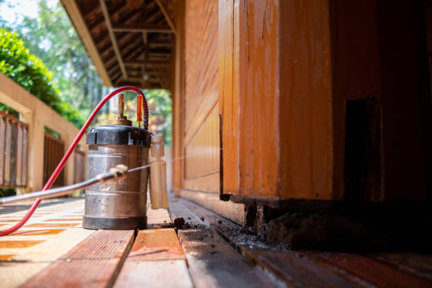 Best Ant Control Services  in Meeker, CO