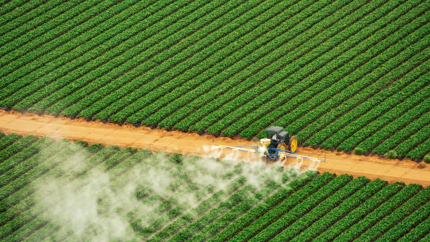 Best Pest Removal Services  in Meeker, CO