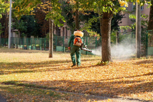 Best Mosquito Control Services  in Meeker, CO