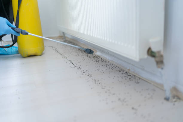 Best Best Pest Control Companies  in Meeker, CO