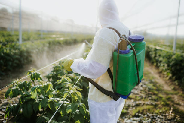 Best Bed Bug Extermination  in Meeker, CO